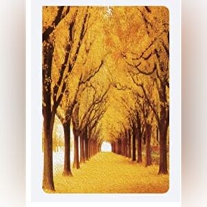 Yellow Trees Scenery Framed Canvas Art 16 x 24 inches
